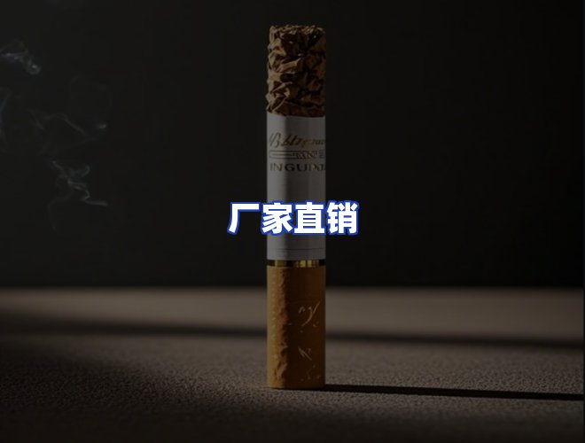 专业团队